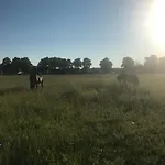 Eichenhof Garni ホテル