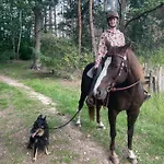 Szálloda Eichenhof Garni Groß Köris