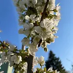 Szálloda Eichenhof Garni Groß Köris