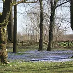 Szálloda Eichenhof Garni Groß Köris