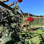 Eichenhof Garni ホテル