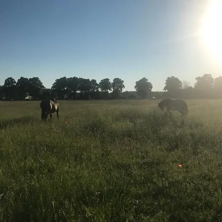 Eichenhof Garni Hotel
