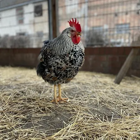 Ξενοδοχείο Eichenhof Garni *