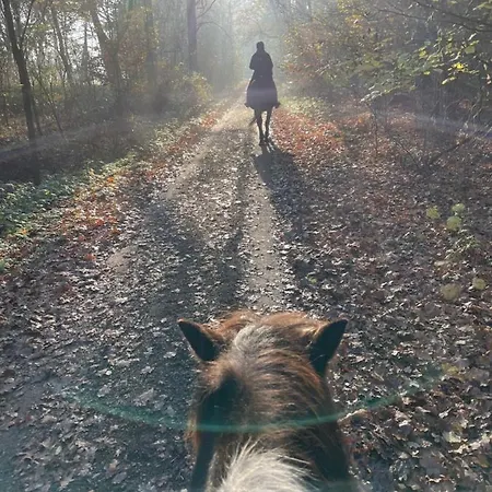 Hotel Eichenhof Garni *