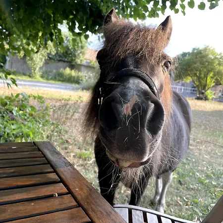 Eichenhof Garni Ξενοδοχείο Groß Köris