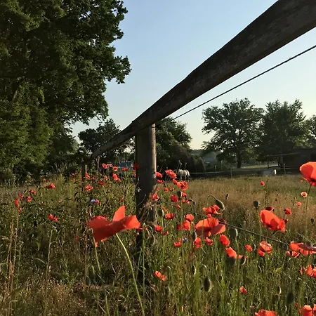 Ξενοδοχείο Eichenhof Garni