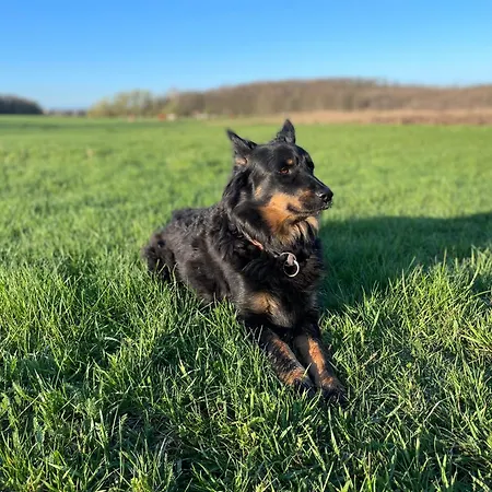 Eichenhof Garni Ξενοδοχείο *