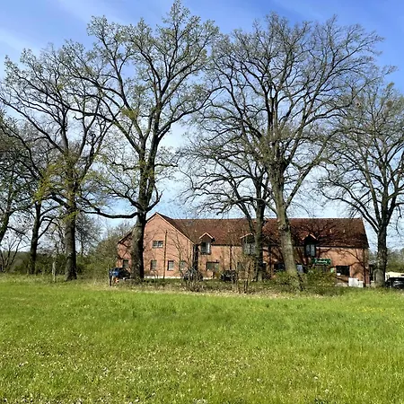 Eichenhof Garni Hotel Groß Köris