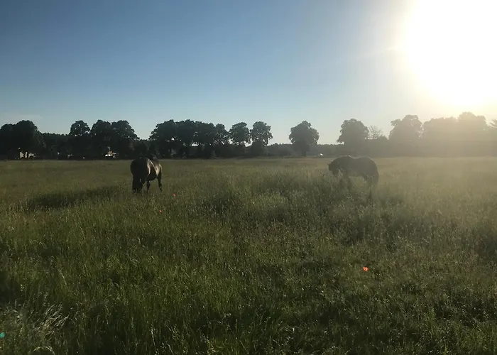 Eichenhof Garni Hotell