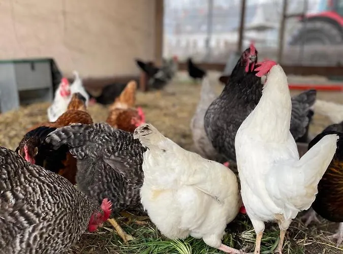 Eichenhof Garni * Groß Köris