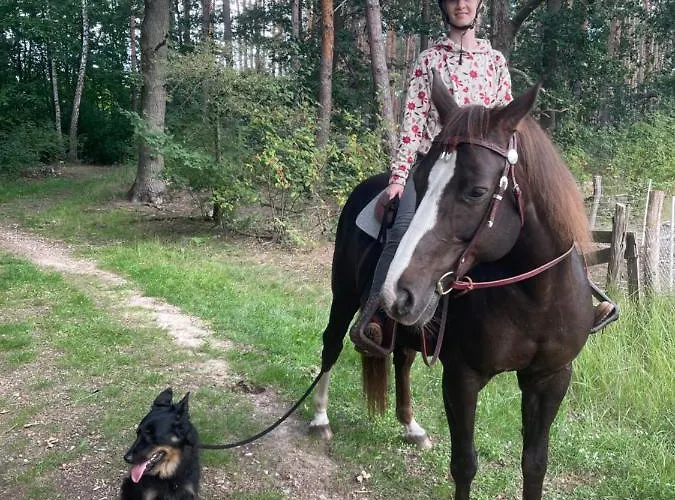 Otel Eichenhof Garni Groß Köris