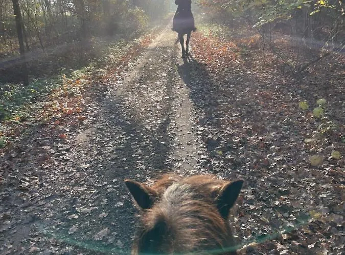 Otel Eichenhof Garni *