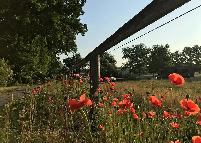 Hotell Eichenhof Garni